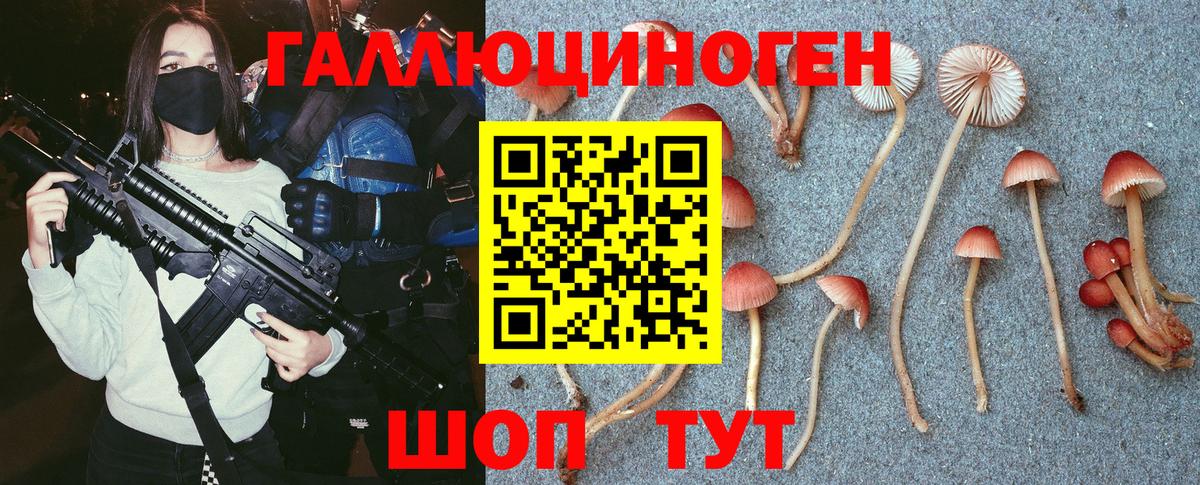 Псилоцибиновые грибы мицелий  Псилоцибиновые грибы Cubensis  Вход с VPN  Ступино 