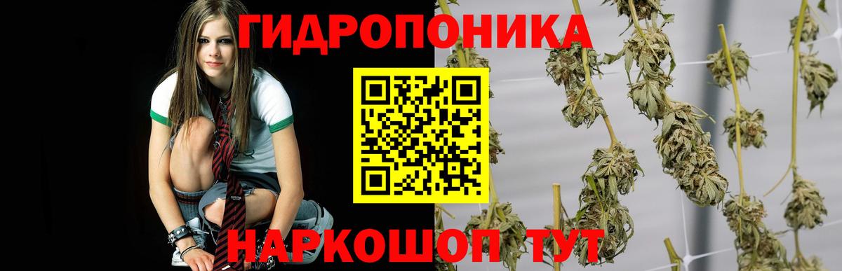 Бошки Шишки Bruce Banner Ступино